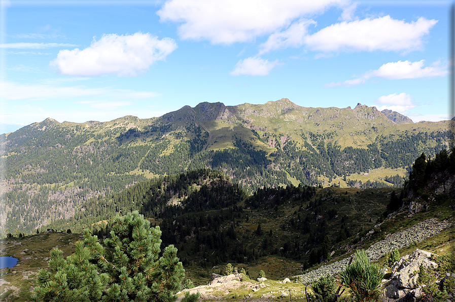 foto Forcella Pala del Becco